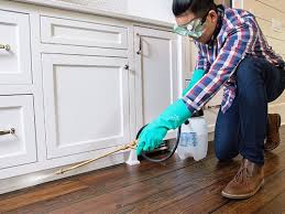 Real Estate Pest Inspections in Oliver, PA